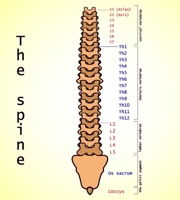 osteocondrose lumbar